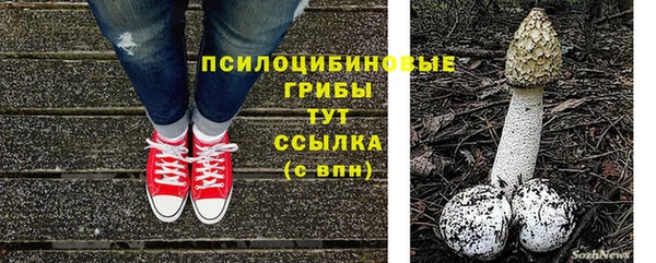 Альфа ПВП Алзамай
