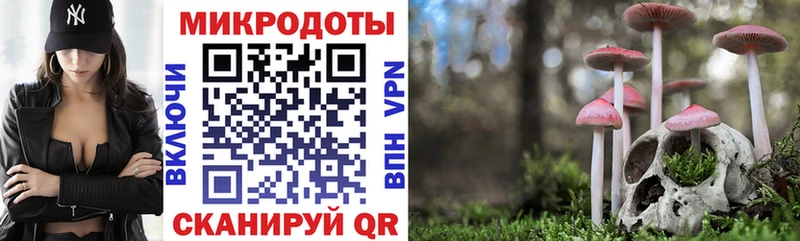Псилоцибиновые грибы Psilocybine cubensis  где купить наркоту  Куровское 