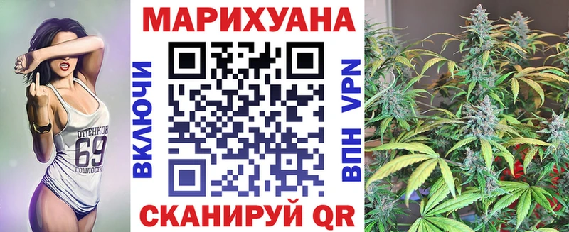 Конопля марихуана Куровское